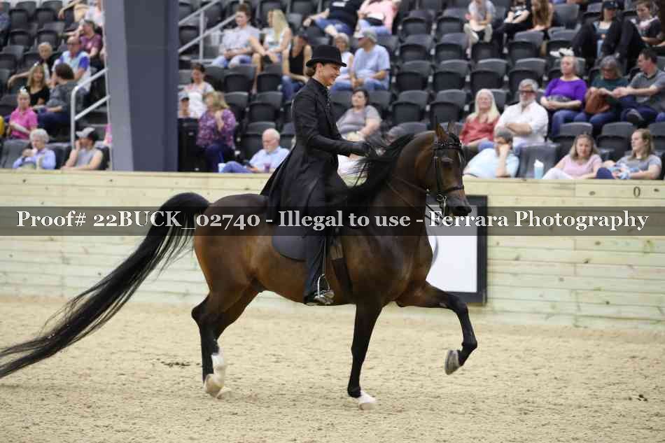 Proof 22BUCK_02740