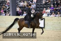 22BUCK_02740 proof