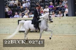 22BUCK_02741 proof