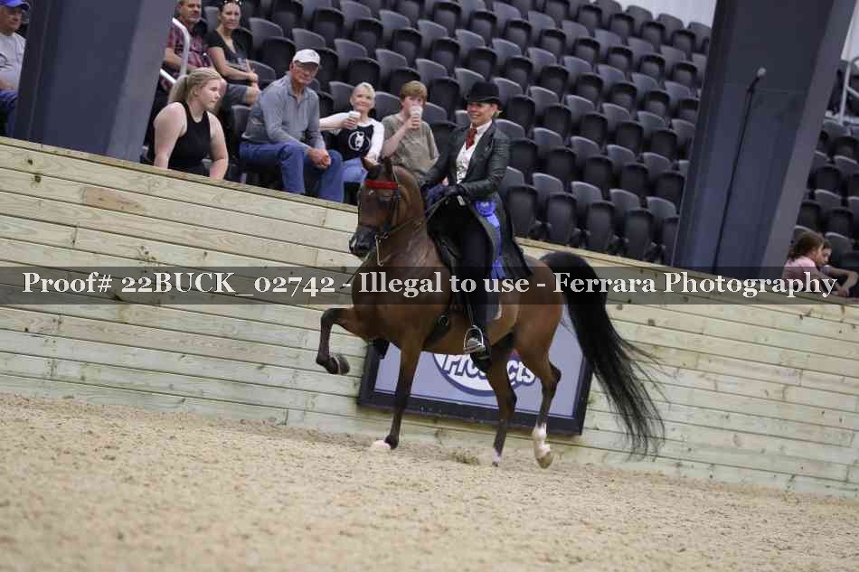 Proof 22BUCK_02742