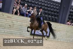 22BUCK_02742 proof