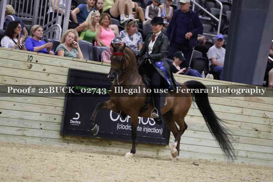 Proof 22BUCK_02743