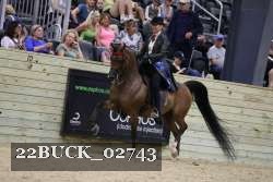 22BUCK_02743 proof
