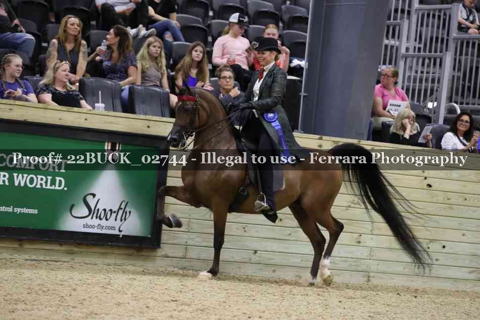 Proof 22BUCK_02744