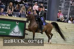 22BUCK_02744 proof