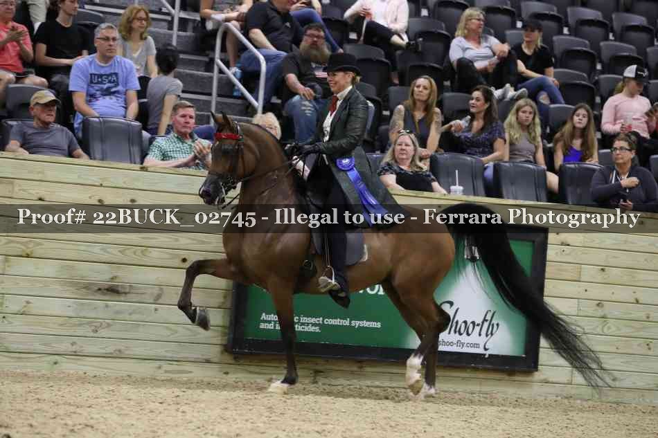 Proof 22BUCK_02745