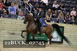 22BUCK_02745 proof