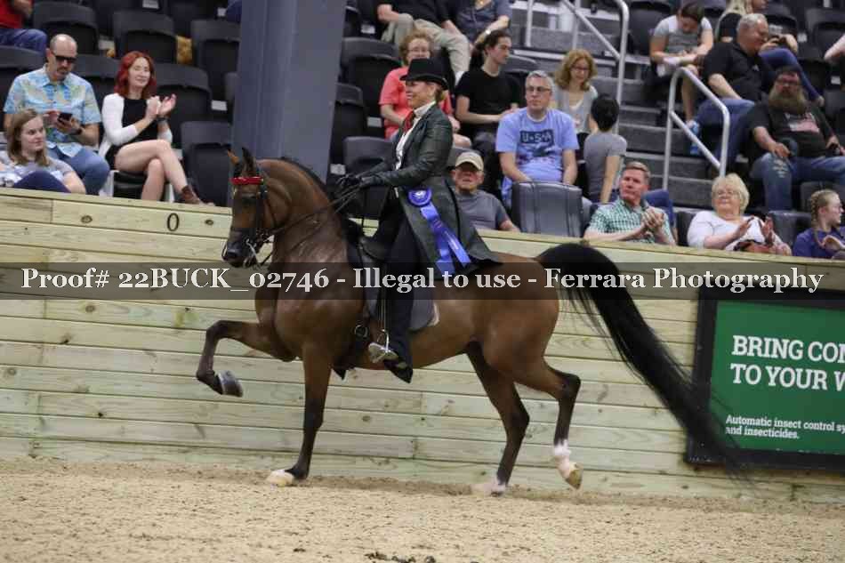 Proof 22BUCK_02746