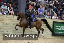 22BUCK_02746 proof