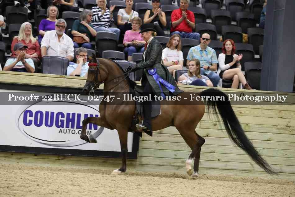 Proof 22BUCK_02747