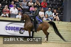 22BUCK_02747 proof