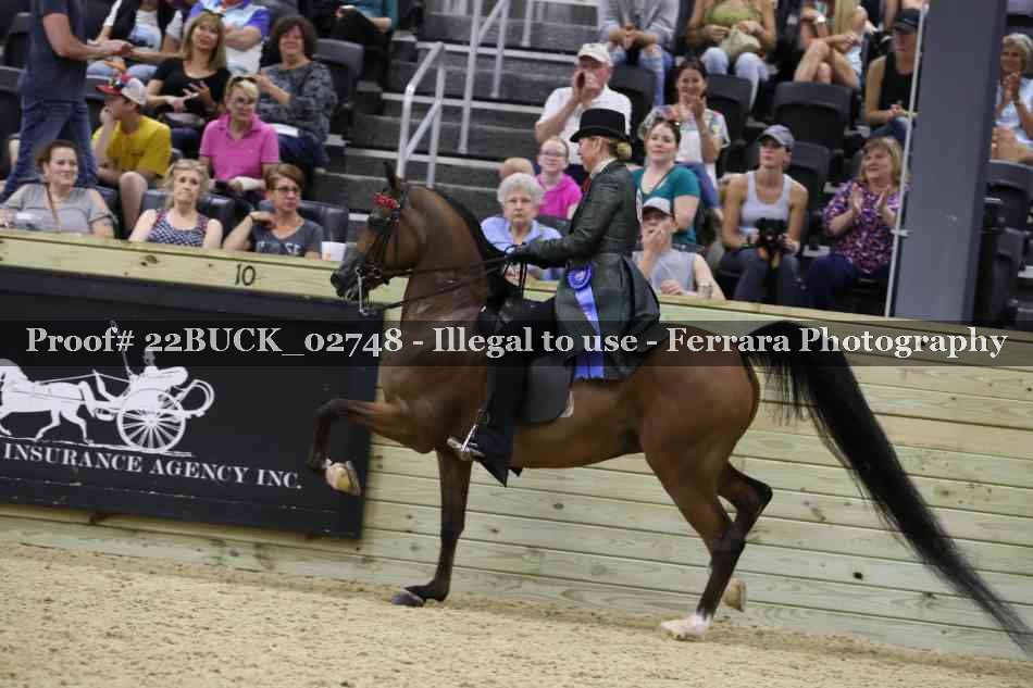 Proof 22BUCK_02748