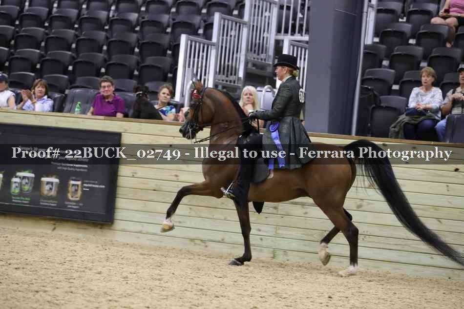 Proof 22BUCK_02749