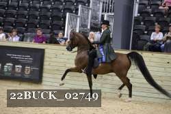 22BUCK_02749 proof