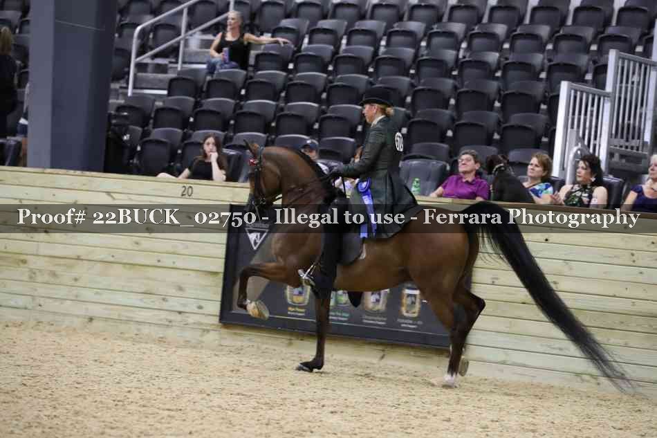 Proof 22BUCK_02750