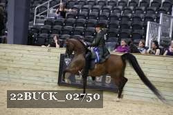 22BUCK_02750 proof