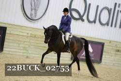 22BUCK_02753 proof