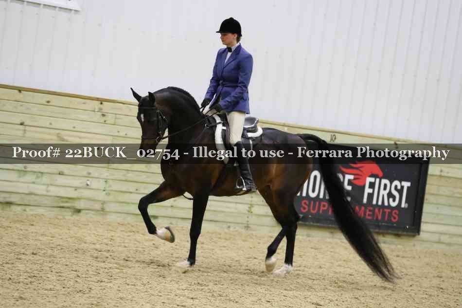 Proof 22BUCK_02754