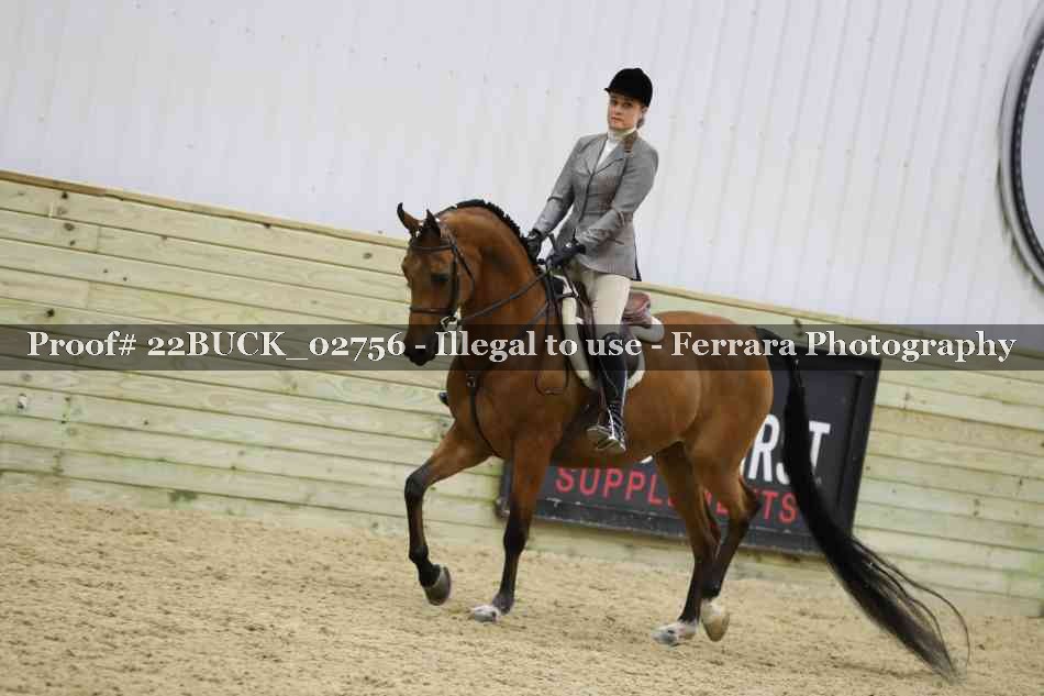Proof 22BUCK_02756