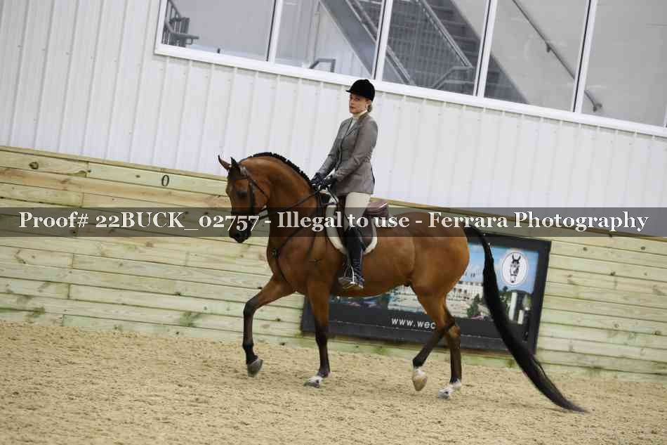Proof 22BUCK_02757