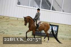 22BUCK_02757 proof