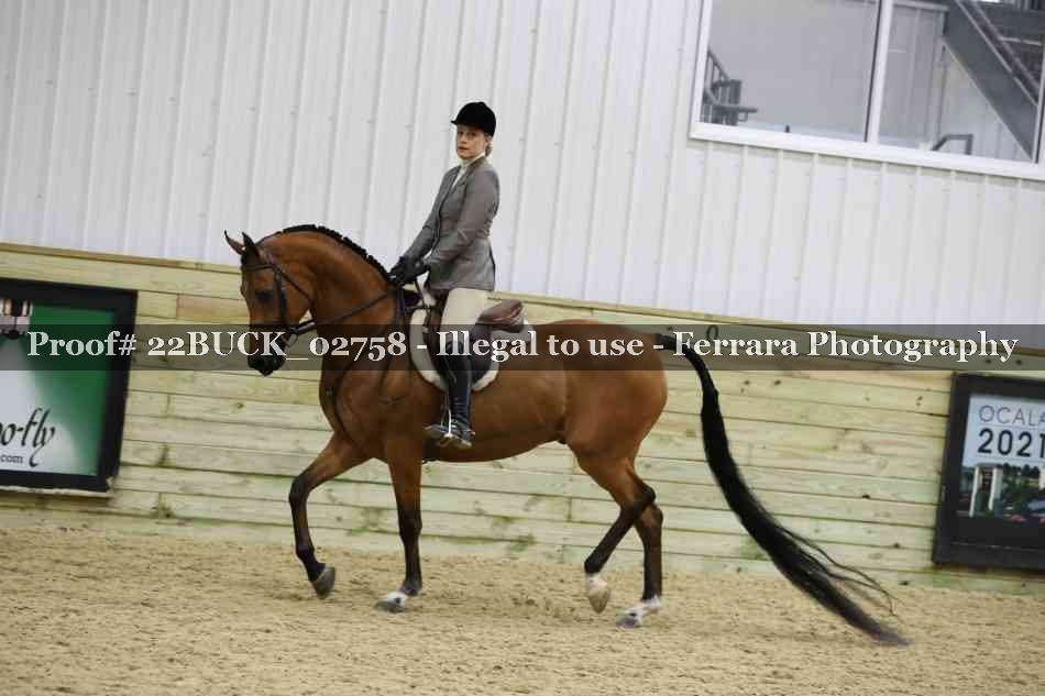 Proof 22BUCK_02758