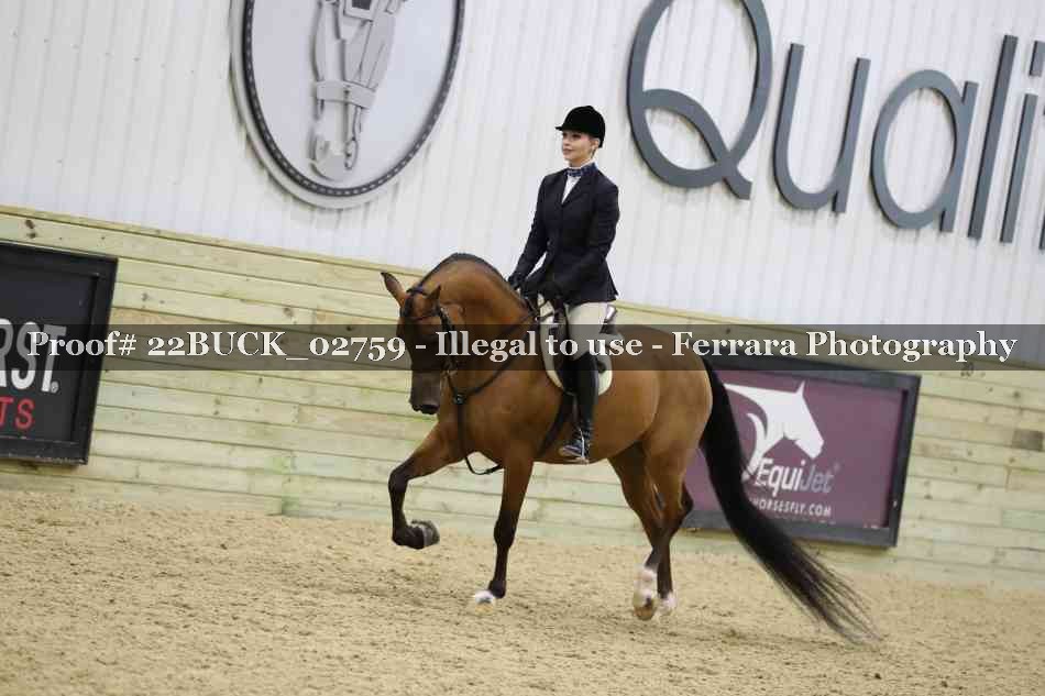 Proof 22BUCK_02759