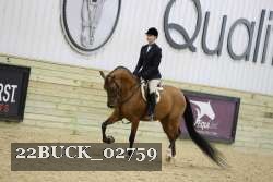 22BUCK_02759 proof
