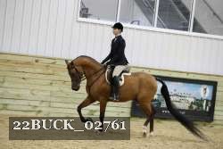 22BUCK_02761 proof