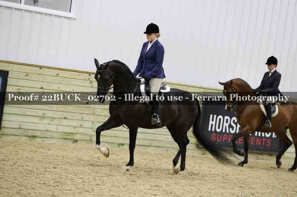 Proof 22BUCK_02762