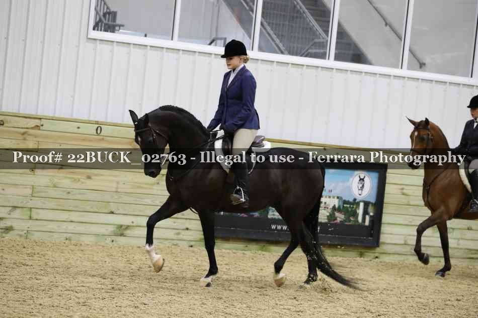 Proof 22BUCK_02763