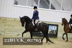 22BUCK_02763 proof