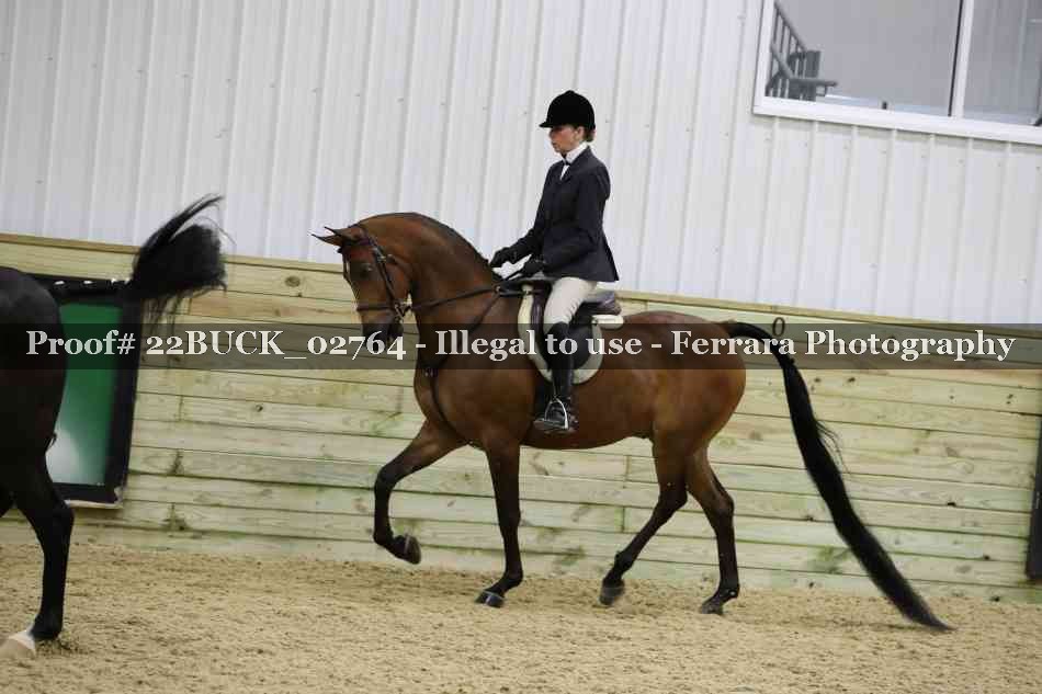 Proof 22BUCK_02764