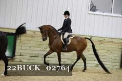 22BUCK_02764 proof