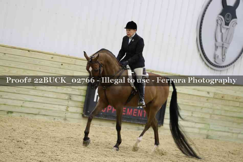Proof 22BUCK_02766