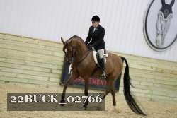 22BUCK_02766 proof