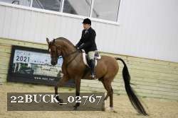 22BUCK_02767 proof