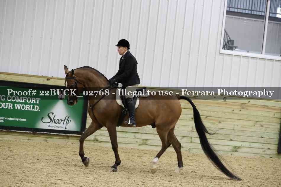 Proof 22BUCK_02768