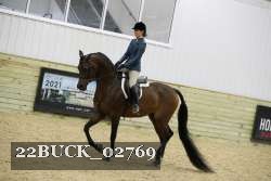 22BUCK_02769 proof
