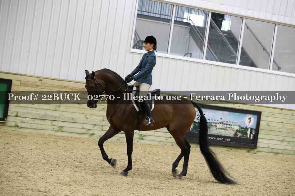 Proof 22BUCK_02770