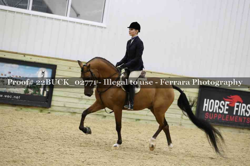 Proof 22BUCK_02771