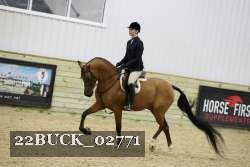 22BUCK_02771 proof
