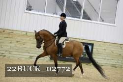 22BUCK_02772 proof