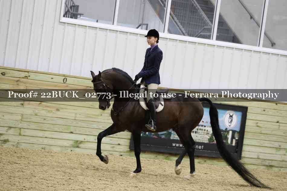 Proof 22BUCK_02773