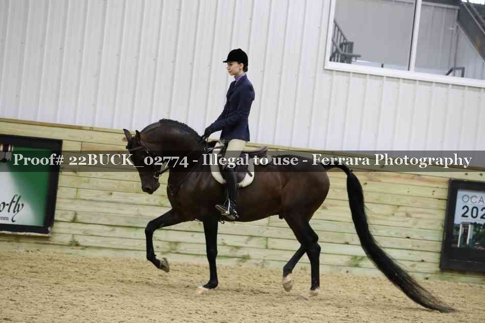 Proof 22BUCK_02774
