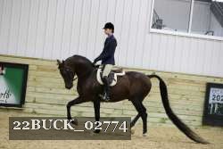 22BUCK_02774 proof