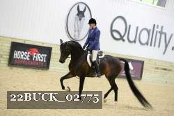 22BUCK_02775 proof