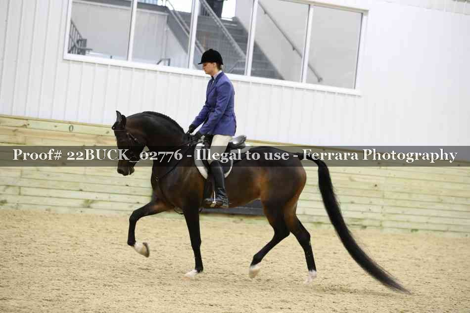 Proof 22BUCK_02776