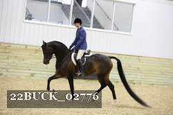 22BUCK_02776 proof