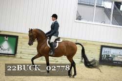 22BUCK_02778 proof